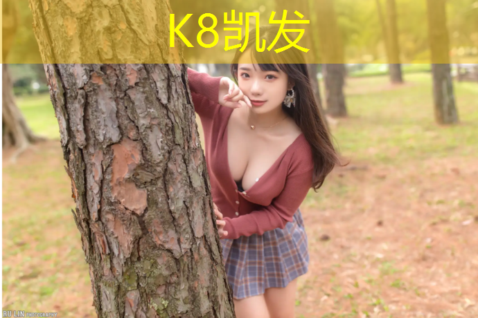 K8凯发天生赢家一触即发：网球网球网架子