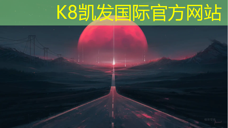 K8凯发：泰山电子跆拳道护具